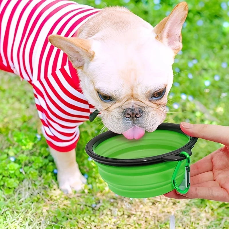 Foldable Dog Bowl