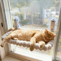 Cat Window Perch