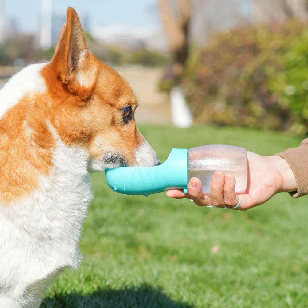 Portable Dog Water Bottle
