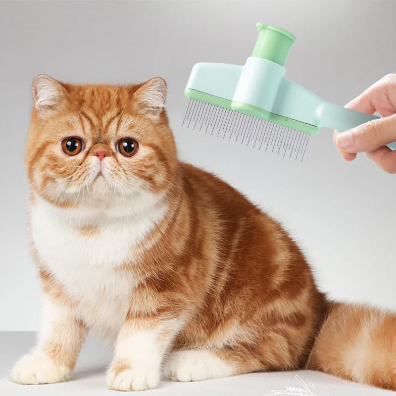 Cat Grooming Brush