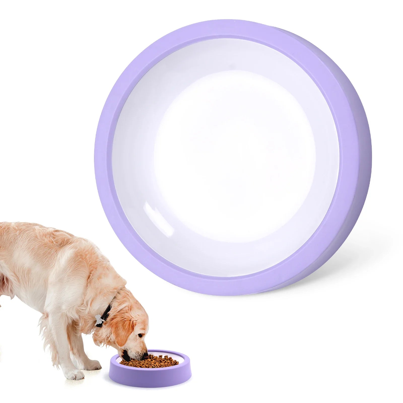 Dog Slow Feeder Bowl