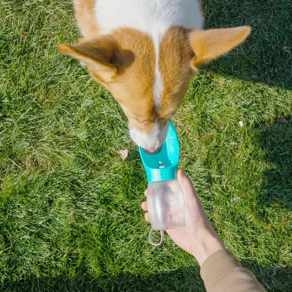 Portable Dog Water Bottle